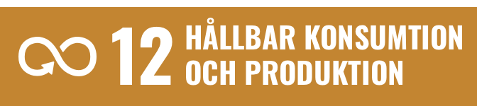 FN:s globala mål 12: Hållbar konsumtion och produktion
